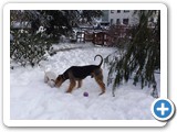 glenn-geronimo-vom-trattberg-winterbilder-003