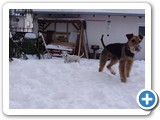glenn-geronimo-vom-trattberg-winterbilder-007